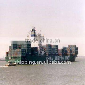 Ocean freight from Shenzhen to Jebel Ali/UAE----jessie zhou