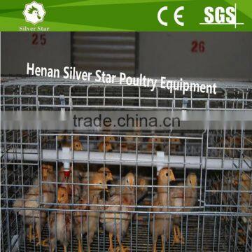 Small baby layer chicken cage with feeder and drinker