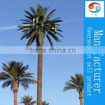 types of coconut and palm trees
