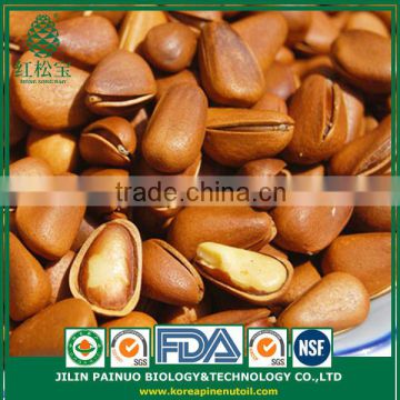 Wholesale New Arrival Organic Siberian Open Pine Nuts for Sale