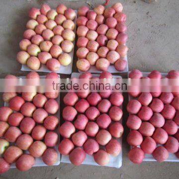 Grade AA Juicy,sweet Red Fuji Apple photo-2