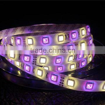 Colorful Powered Festive Atmosphere Christmas Decorating Led Lights photo-4