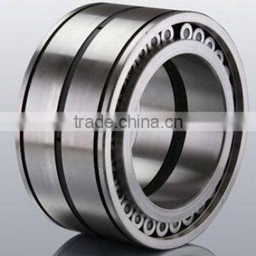 SL045040PP Double-Row Full Complement Cylindrical Roller Bearing SL045040 PP ,SL 04 5040 PPNR