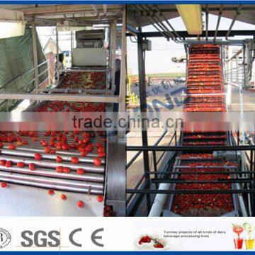 2TPH tomato sauce processing line with plastic bag packaging