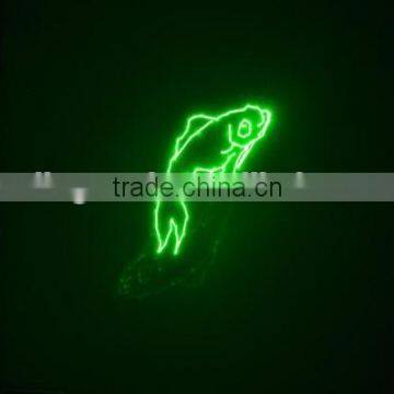 ILDA 5W Animation Green Laser Projector photo-4