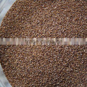 Factory Sale Ccd Sensor Seeds Optical Color Sorter photo-6