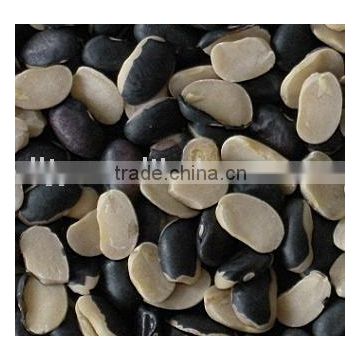 Split Black Bean