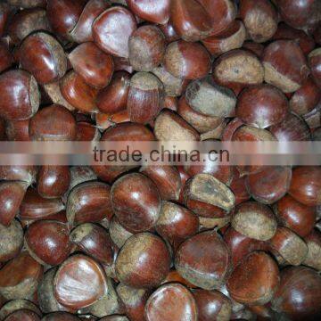 chinese chestnut 5kg bag Africa