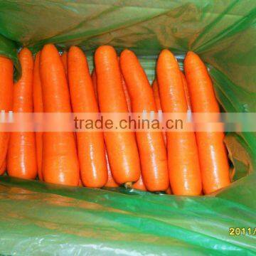 100g fresh red carrot(new grop)