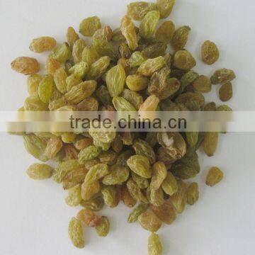 Best Price Top Quality Seeded  Raisin(golden,green,sultana,sun Dried) photo-3
