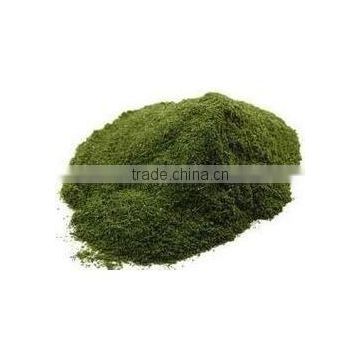 NEEM LEAVES POWDER