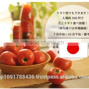 Japanese Fresh Tomato Juice Drink/Soft Drink