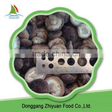 China new season bulk delicious frozen shiitake mushroom