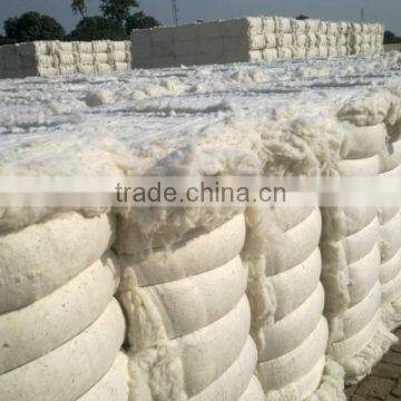 Raw Cotton photo-2
