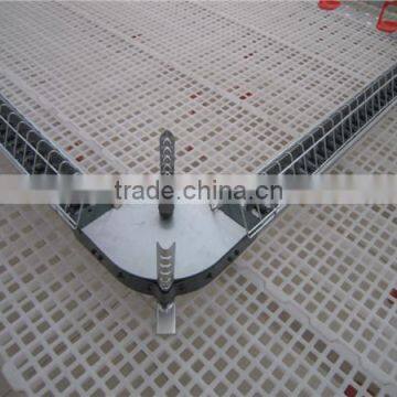Poultry Chain Feeding System/Automatic Poultry Feeder For Broiler and Breeder Shed