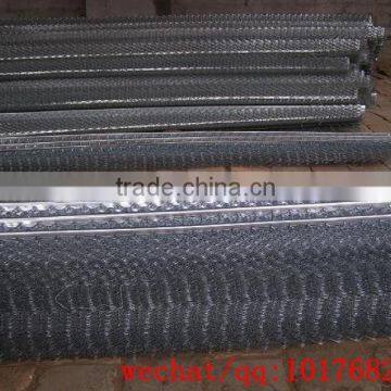 3.0m Galvanized Angle Bead Corner Mesh for Sale photo-4