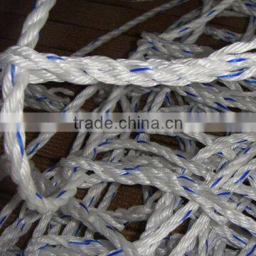 PP danline Net
