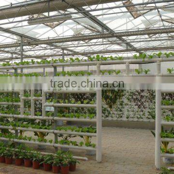 Low Cost Tunnel Plastic Greenhouse For Sale photo-3