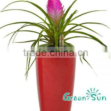 decorative plastic flower vase article for home decoration