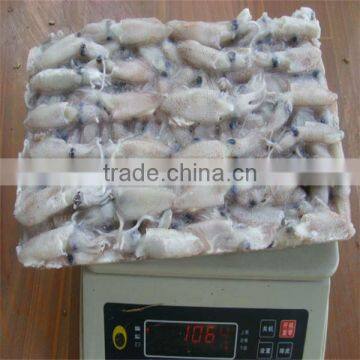 best sea whole frozen squid