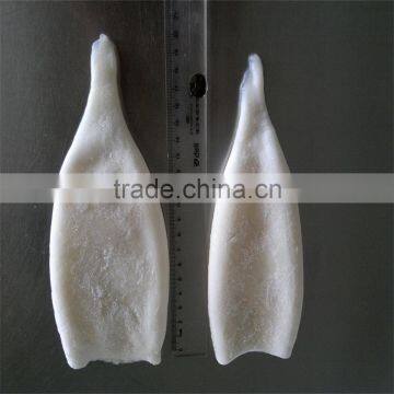 Frozen IQF High Quality Pacific Squid Tube u5 u7 U10 photo-3