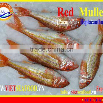 WHOLE FROZEN RED MULLET photo-3
