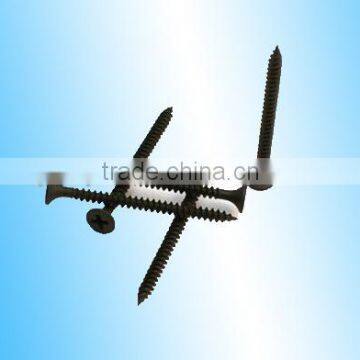 Black Phosphated Drywall Screws From Guangzhou photo-2