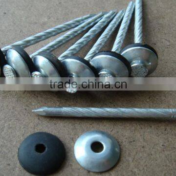 China Supplier Roofing Nail/galvanized Roofing Nail/umbrella Head Coil Roofing Nail photo-6