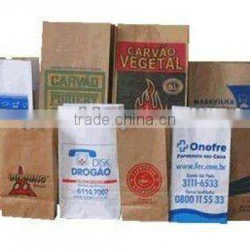 healthy kraft paper bag collection for food