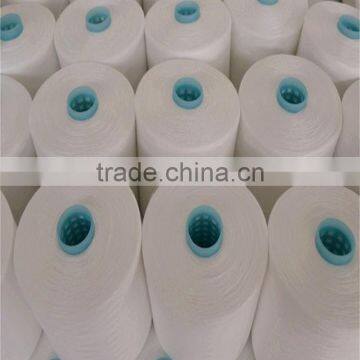 Wuhan Supplier Wholese Raw White Ne 20/2 100 Percent Virgin Polyester Spun Yarn for Kniting photo-3