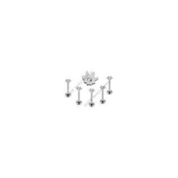 Marple Leaf 316L Stainless Steel Cz Stone 16 Ring Lip Labret Jewelry With Crystal