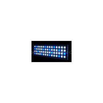 Slim 36W WHITE blue color led aquarium light fixture with metal cover IP68