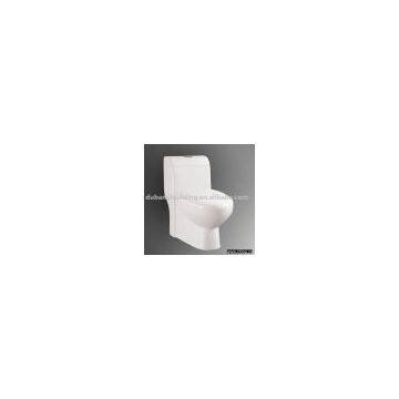 toilet sanitary ware
