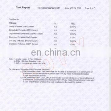 SGS Report of Rubber Magnet