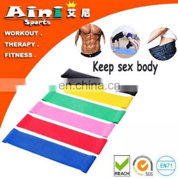 Resistance Bands set of 6 ,Fit Simplify Resistance Loop Exercise Bands with Instruction Guide, Carry Bag