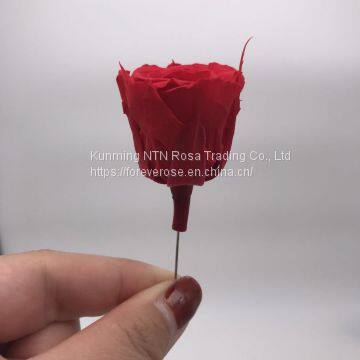 A Grade Everlasting Fresh Flower Decoration Rose Preserved Rose Head photo-5