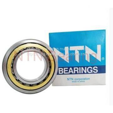 NTN Bearing