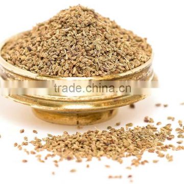 Superior Grade Trachyspermum ammi Powder For OEM