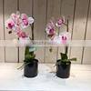 Amazon Hot Sale Beautiful Decorative Realistic Artificial Plastic Fake Orchid Plants for Restaurants photo-5
