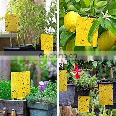 Double Sided Flying Insect Trap Pest Monitor Bug Catcher Yellow Sticky Cards 20CM*15CM