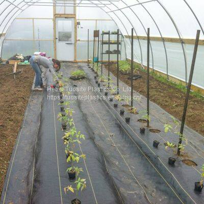 Cloth Weeds Fabric Plastic Garden Plant Ground Cover Cloth Weeding Barrier Landscape Fabric photo-4