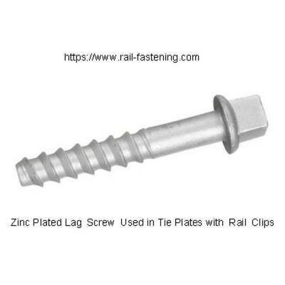 Dhs35 Galvanized Rail Screw Spike photo-2