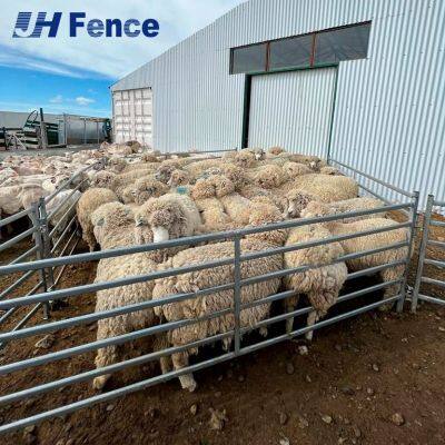Trusted Sheep Panel: Heavy-Gauge Welded Steel Delivers Unmatched Strength & Security for Your Valuable Flock