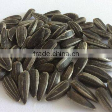 Black sunflower seeds for oil ton price