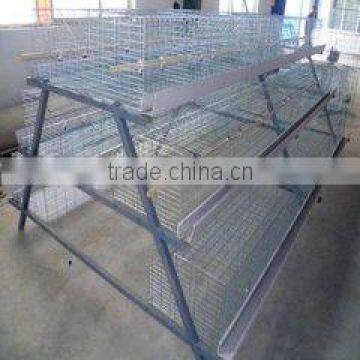 chicken eggs layer farm cage from china factory