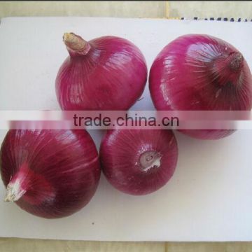 2014 new crop high quality 5-8cm fresh red onion