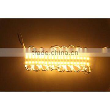 SDSLED Yellow Light DC12V 20PCS 3528 LED module Ip65