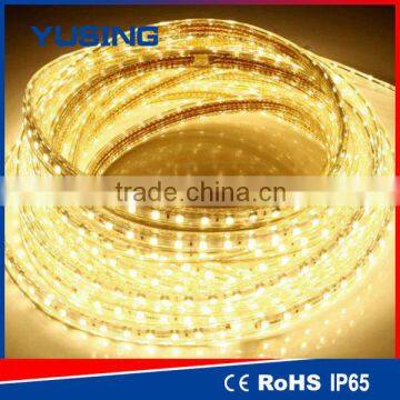 High Brightness Blue 220V SMD 5050 High Voltage LED Strip 60 LEDs/Meter