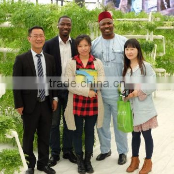 A type tower hydroponics system for greenhouse agriculture