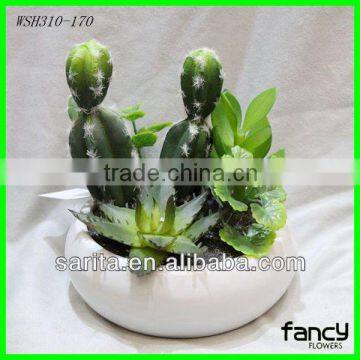 new design quality artificial cactus plants